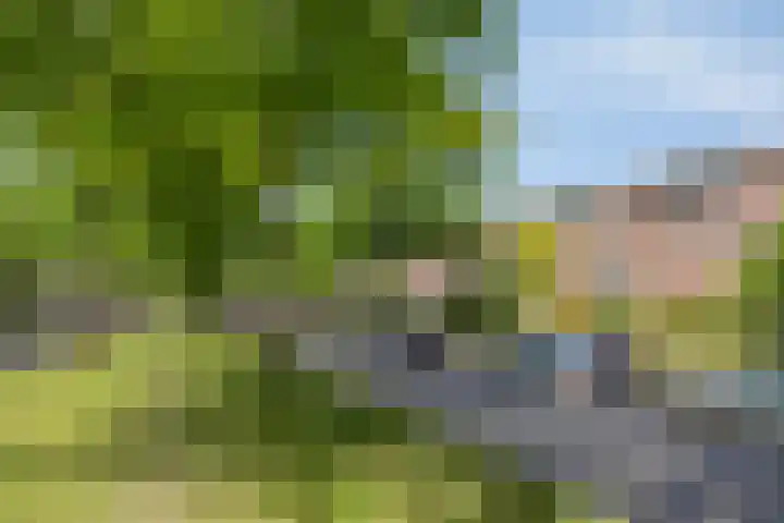 Laan van Avant-Garde 180 Rotterdam thumbnail 50