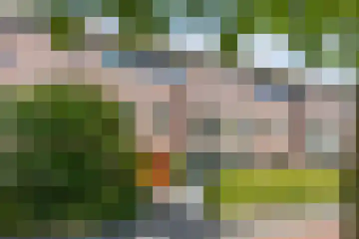 Laan van Avant-Garde 180 Rotterdam thumbnail 53