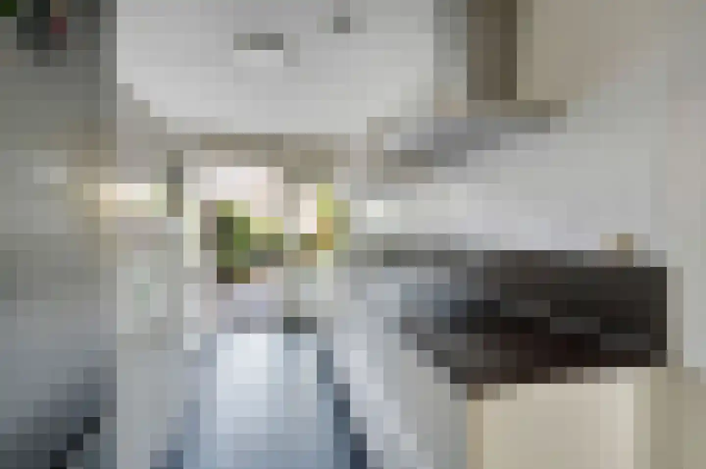 Laan van Avant-Garde 185 Rotterdam thumbnail 12