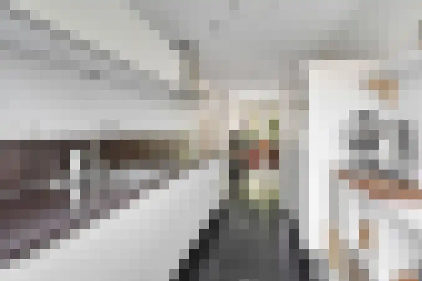 Laan van Avant-Garde 185 Rotterdam thumbnail 13