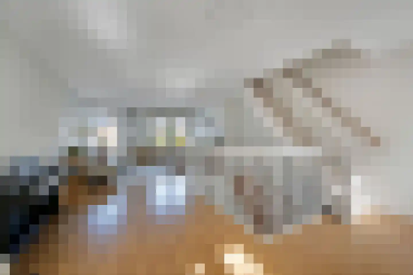 Laan van Avant-Garde 185 Rotterdam thumbnail 15