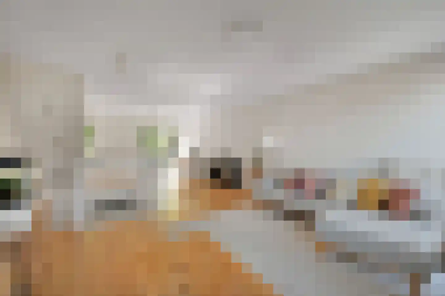 Laan van Avant-Garde 185 Rotterdam thumbnail 17