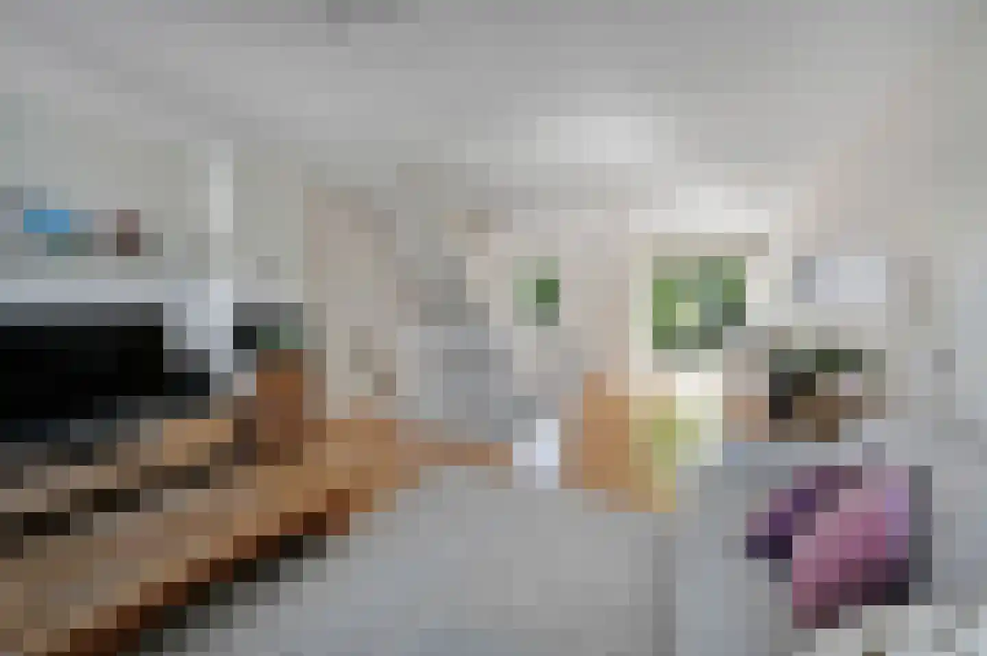 Laan van Avant-Garde 185 Rotterdam thumbnail 18