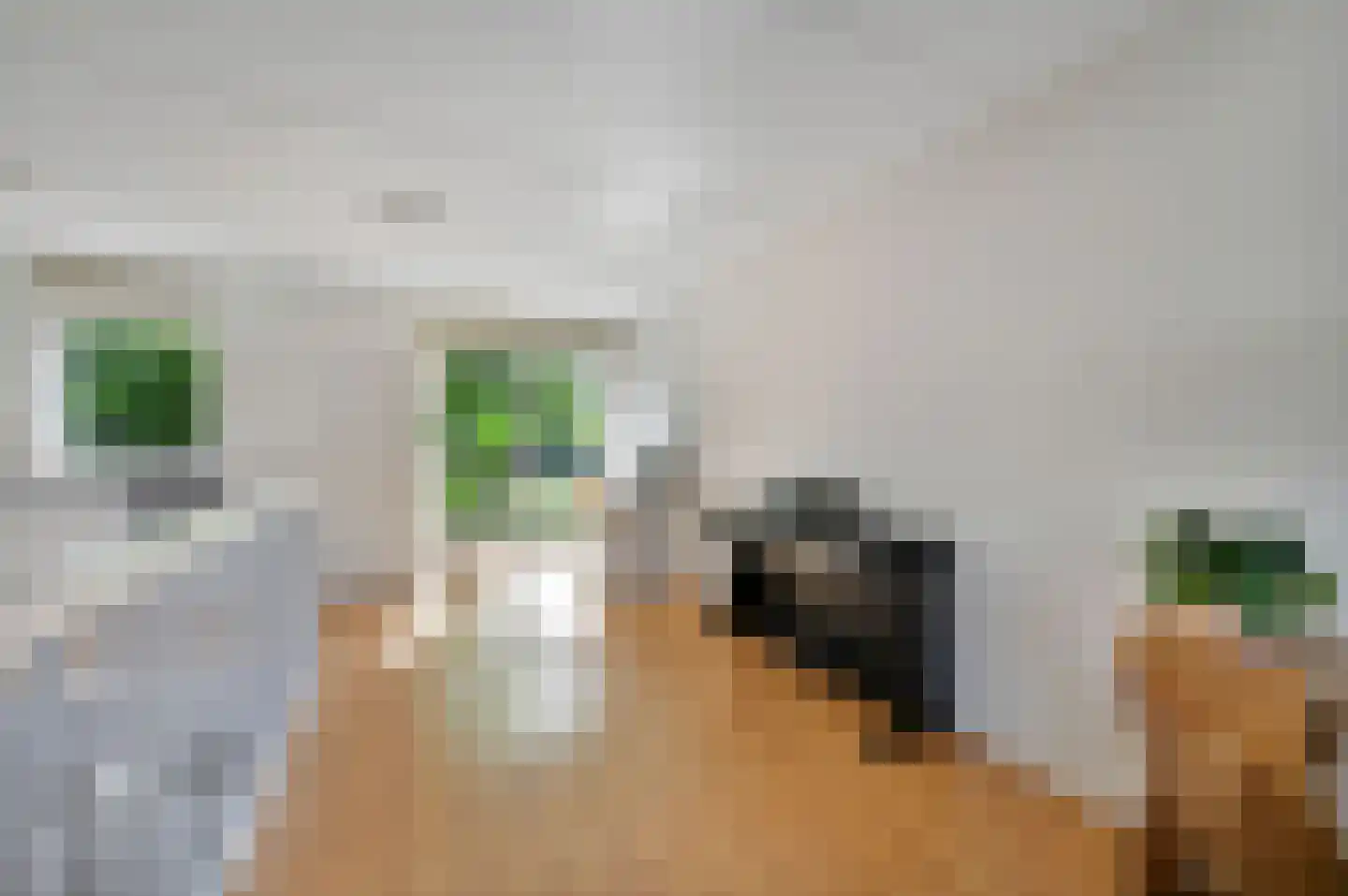 Laan van Avant-Garde 185 Rotterdam thumbnail 19