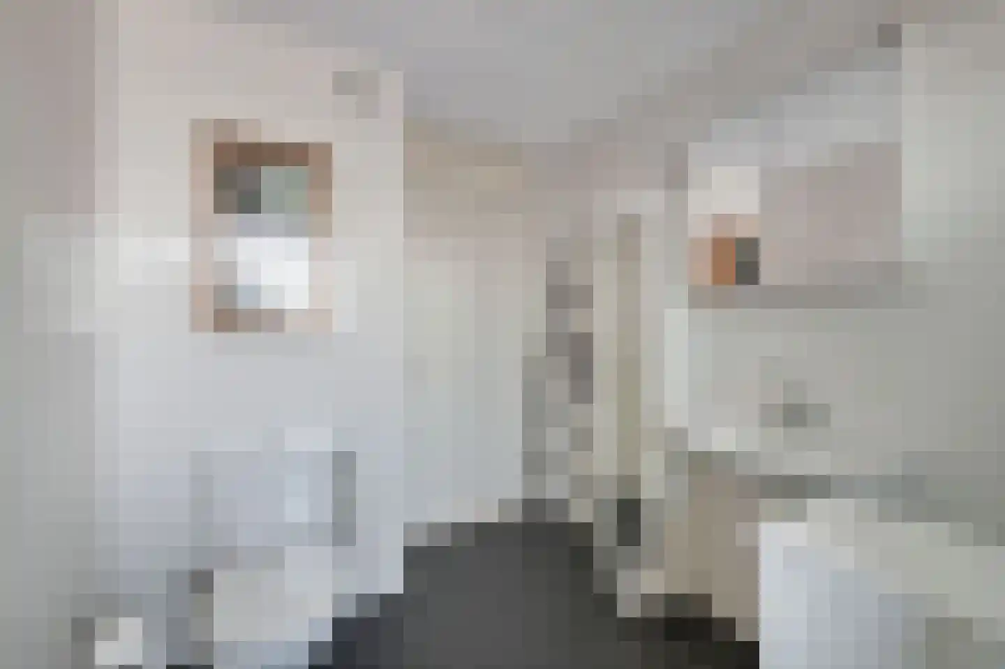 Laan van Avant-Garde 185 Rotterdam thumbnail 24