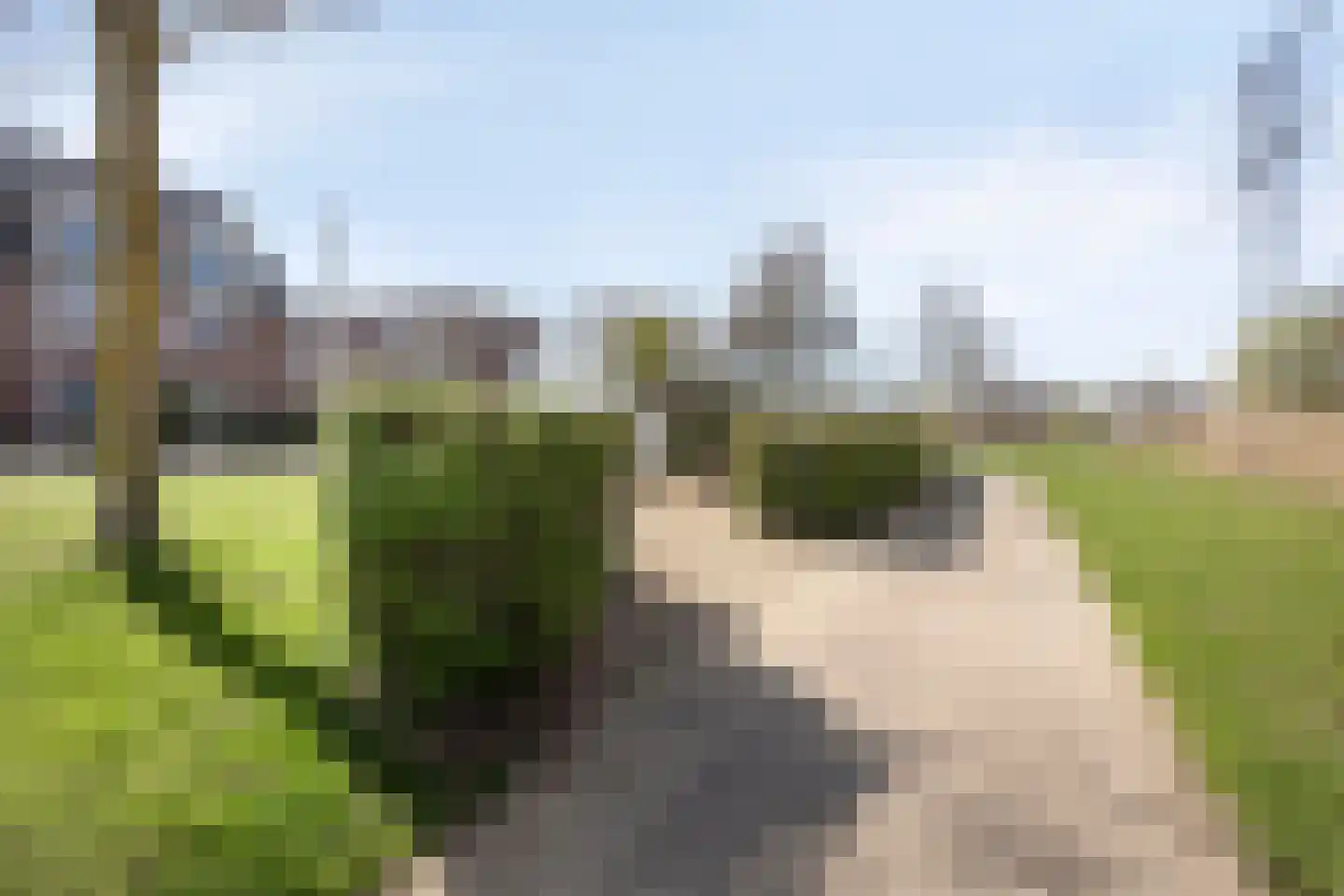 Laan van Avant-Garde 188 Rotterdam thumbnail 34