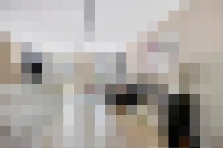 Laan van Avant-Garde 195 Rotterdam thumbnail 17