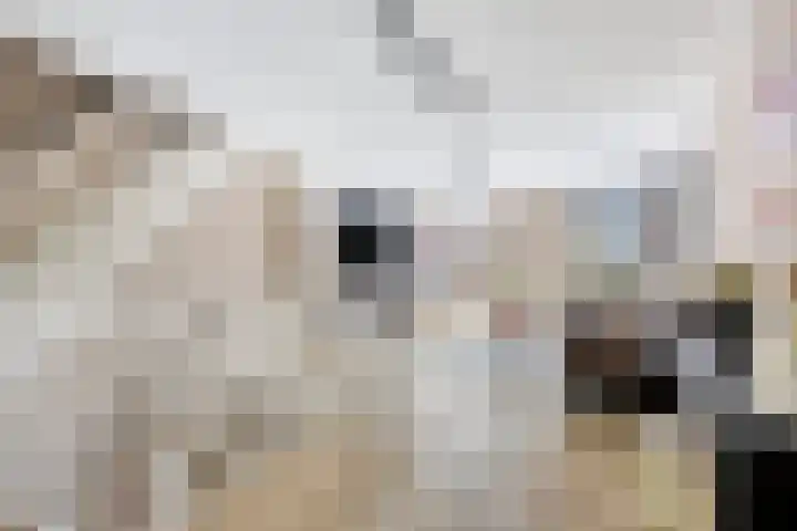 Laan van Avant-Garde 195 Rotterdam thumbnail 18