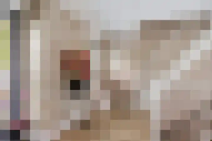 Laan van Avant-Garde 195 Rotterdam thumbnail 20