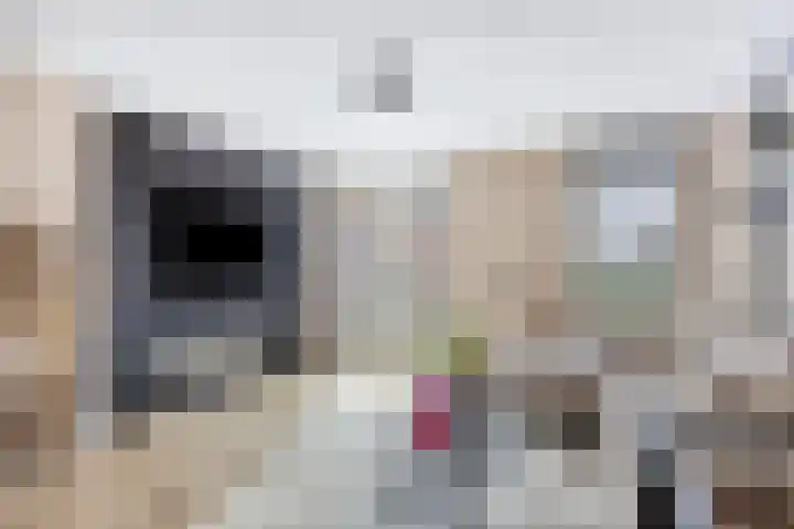Laan van Avant-Garde 195 Rotterdam thumbnail 21