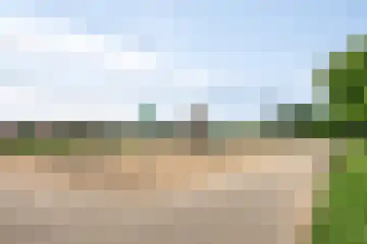 Laan van Avant-Garde 195 Rotterdam thumbnail 38