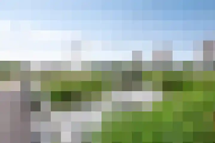 Laan van Avant-Garde 195 Rotterdam thumbnail 39