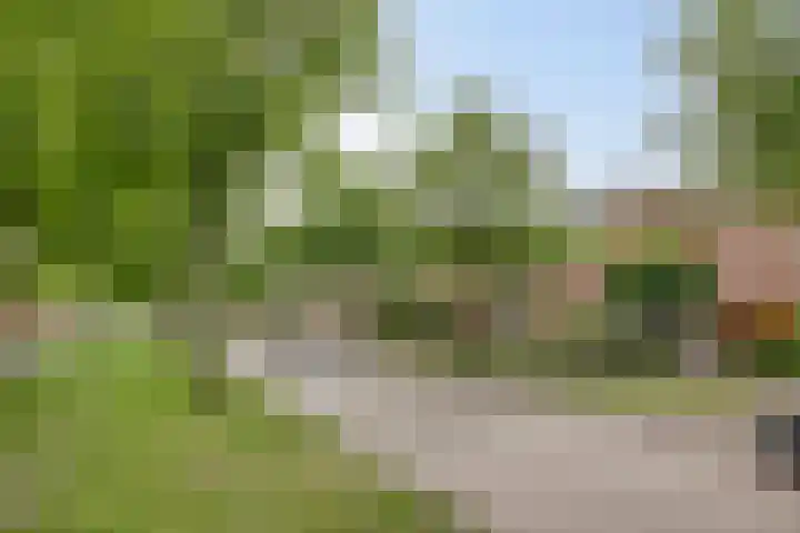 Laan van Avant-Garde 195 Rotterdam thumbnail 43