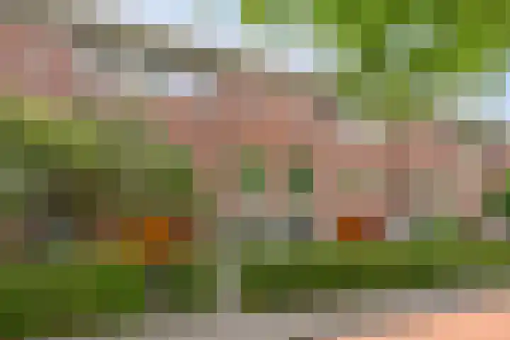 Laan van Avant-Garde 195 Rotterdam thumbnail 5