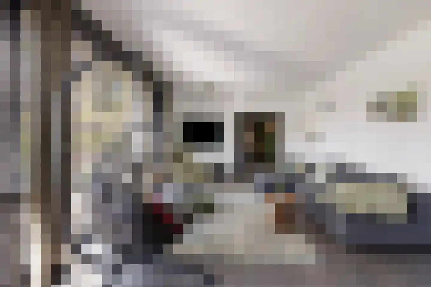 Laan van Avant-Garde 234 Rotterdam thumbnail 15
