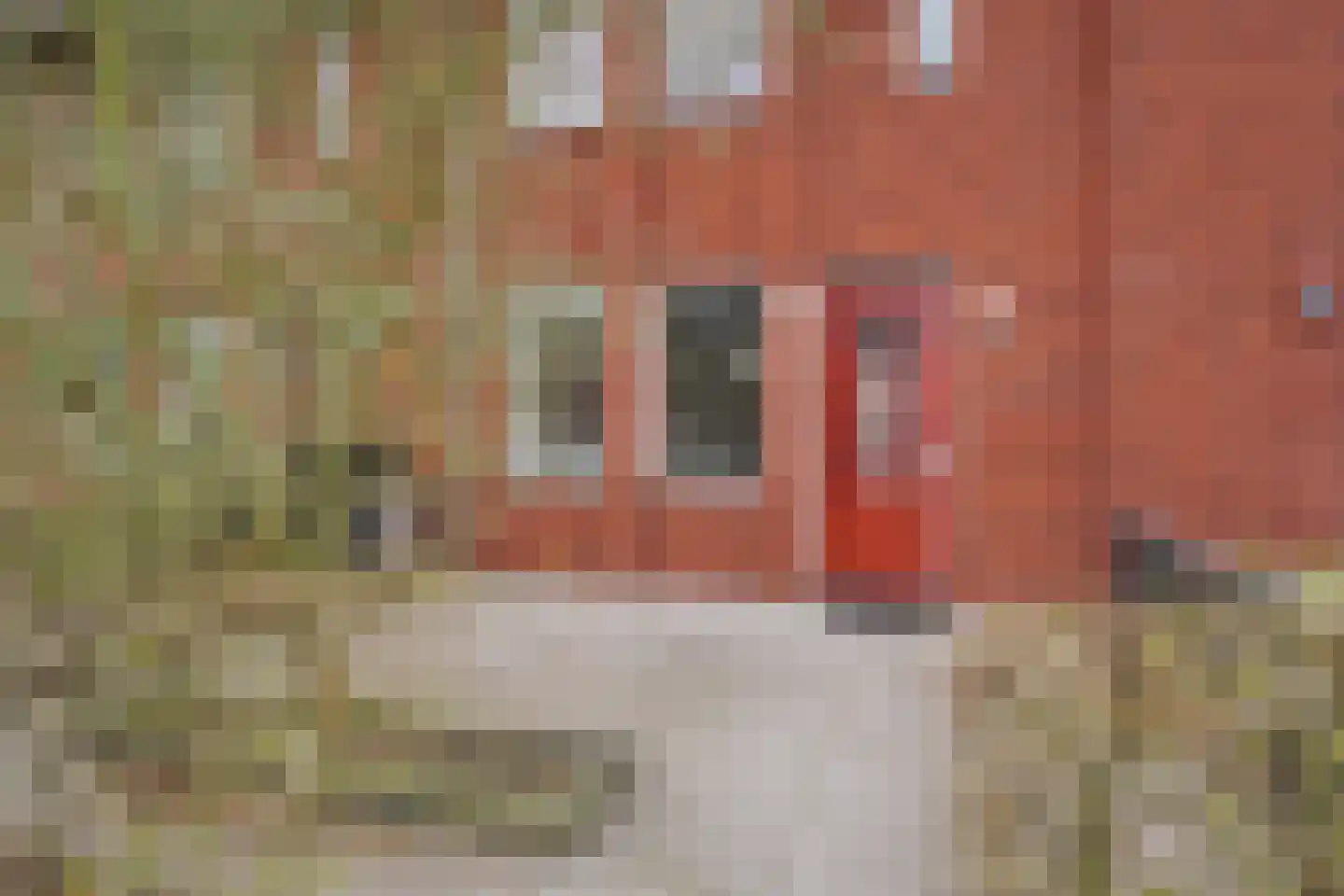 Laan van Avant-Garde 285 Rotterdam thumbnail 31