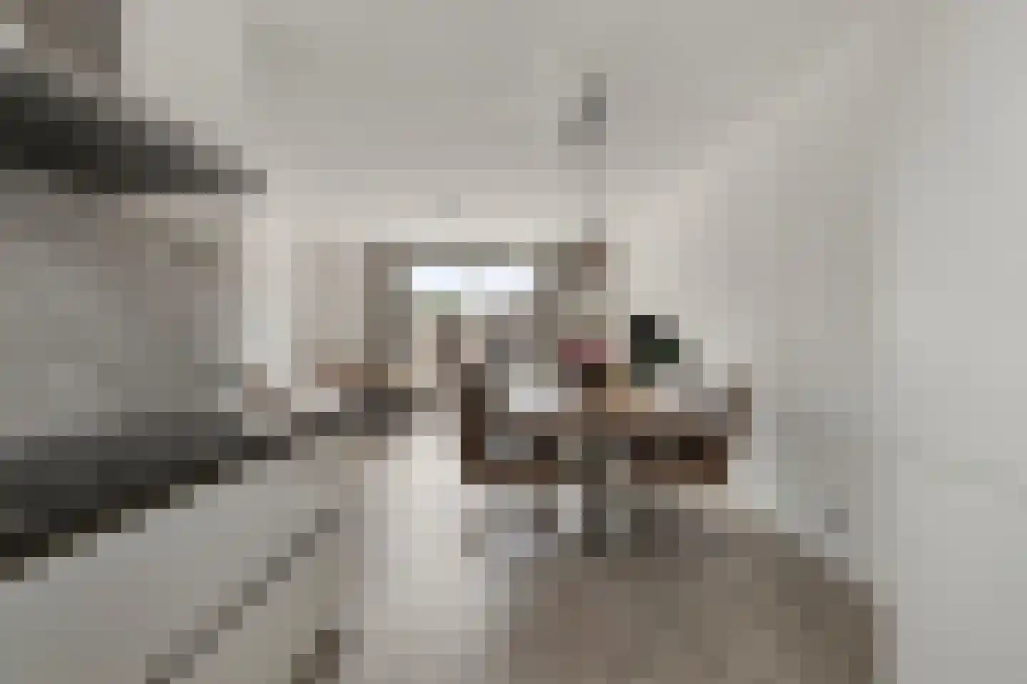 Laan van Avant-Garde 293 Rotterdam thumbnail 11