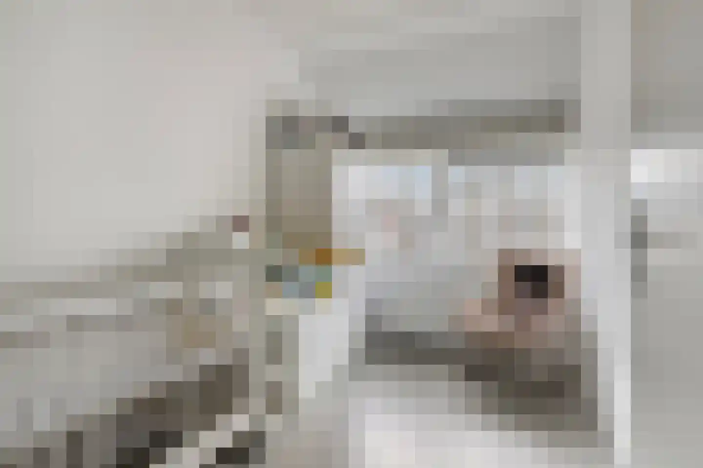 Laan van Avant-Garde 293 Rotterdam thumbnail 28