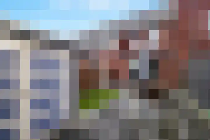 Laan van Avant-Garde 295 Rotterdam thumbnail 29