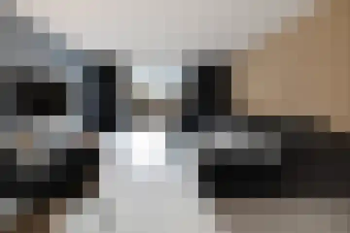 Laan van Avant-Garde 295 Rotterdam thumbnail 8