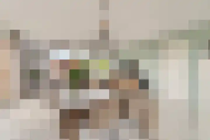 Laan van Avant-Garde 298 Rotterdam thumbnail 11