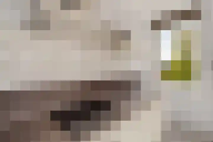 Laan van Avant-Garde 298 Rotterdam thumbnail 15
