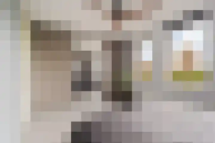 Laan van Avant-Garde 298 Rotterdam thumbnail 21