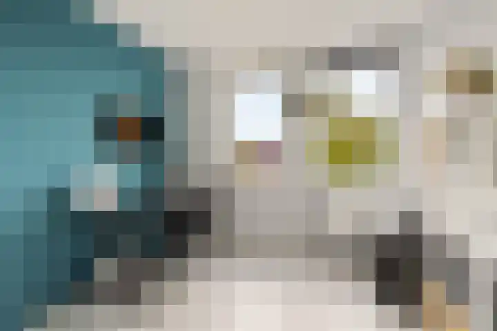Laan van Avant-Garde 298 Rotterdam thumbnail 22