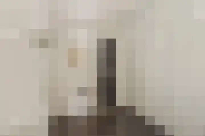 Laan van Avant-Garde 298 Rotterdam thumbnail 24