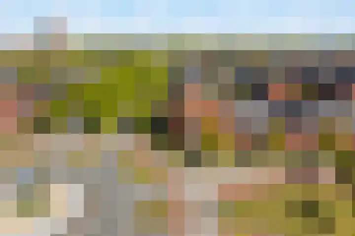 Laan van Avant-Garde 298 Rotterdam thumbnail 29