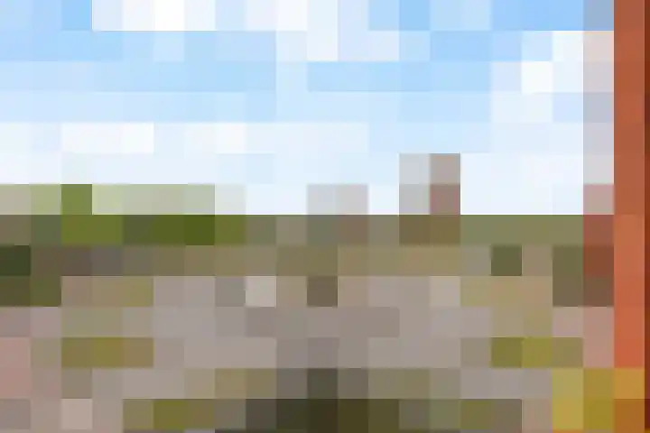 Laan van Avant-Garde 298 Rotterdam thumbnail 30