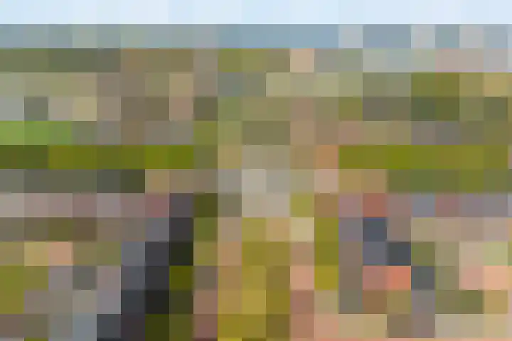Laan van Avant-Garde 298 Rotterdam thumbnail 31