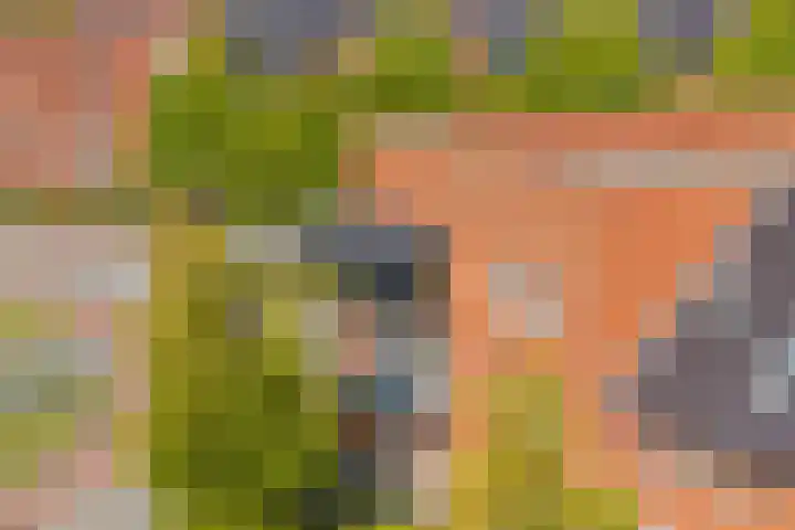 Laan van Avant-Garde 298 Rotterdam thumbnail 5