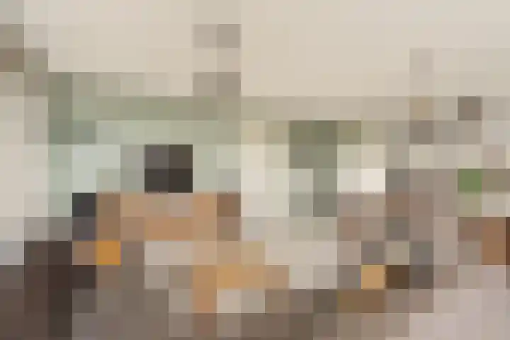 Laan van Avant-Garde 298 Rotterdam thumbnail 9