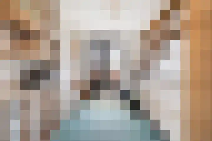 Laan van Avant-Garde 324 Rotterdam thumbnail 28