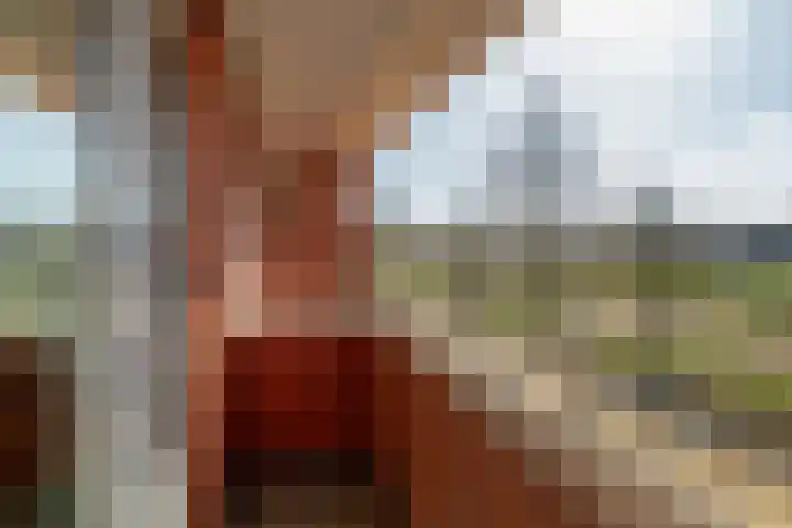 Laan van Avant-Garde 324 Rotterdam thumbnail 32