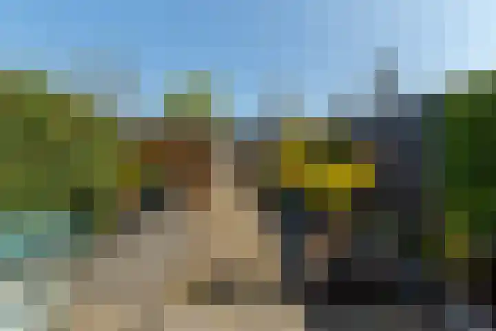 Laan van Avant-Garde 324 Rotterdam thumbnail 34