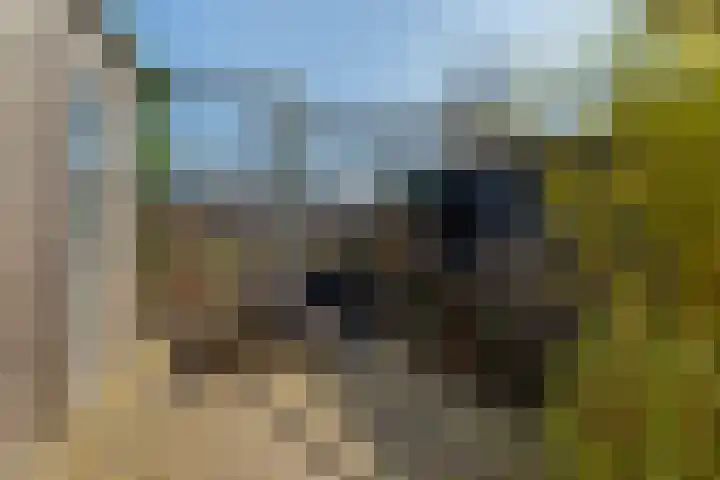 Laan van Avant-Garde 324 Rotterdam thumbnail 37