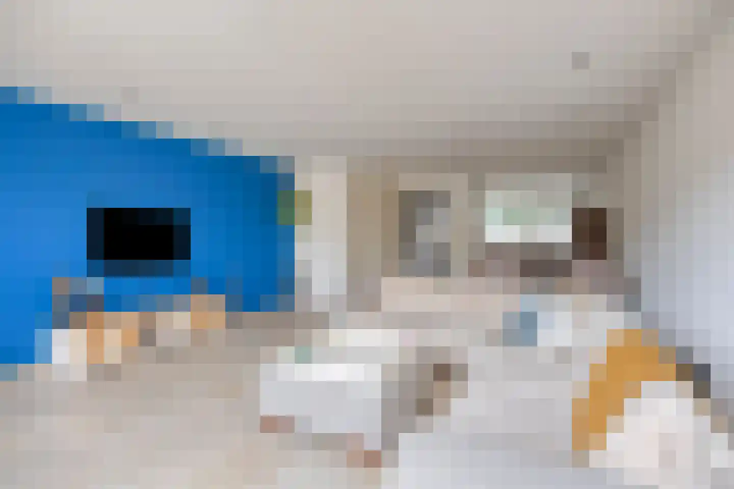Laan van Avant-Garde 352 Rotterdam thumbnail 9