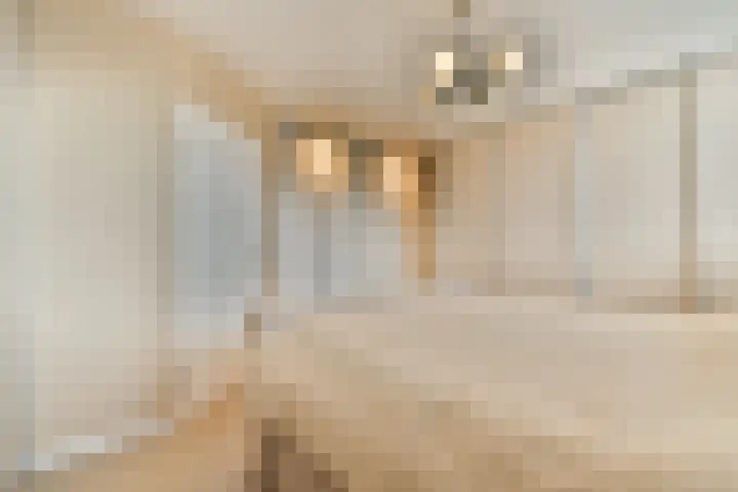 Laan van Avant-Garde 380 Rotterdam thumbnail 19
