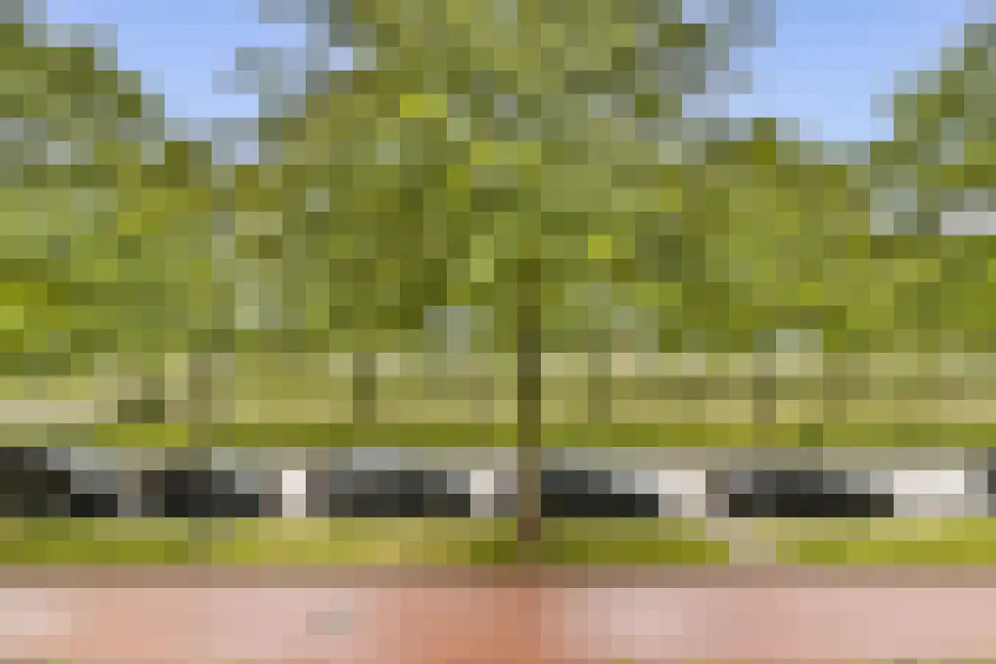Laan van Avant-Garde 380 Rotterdam thumbnail 24