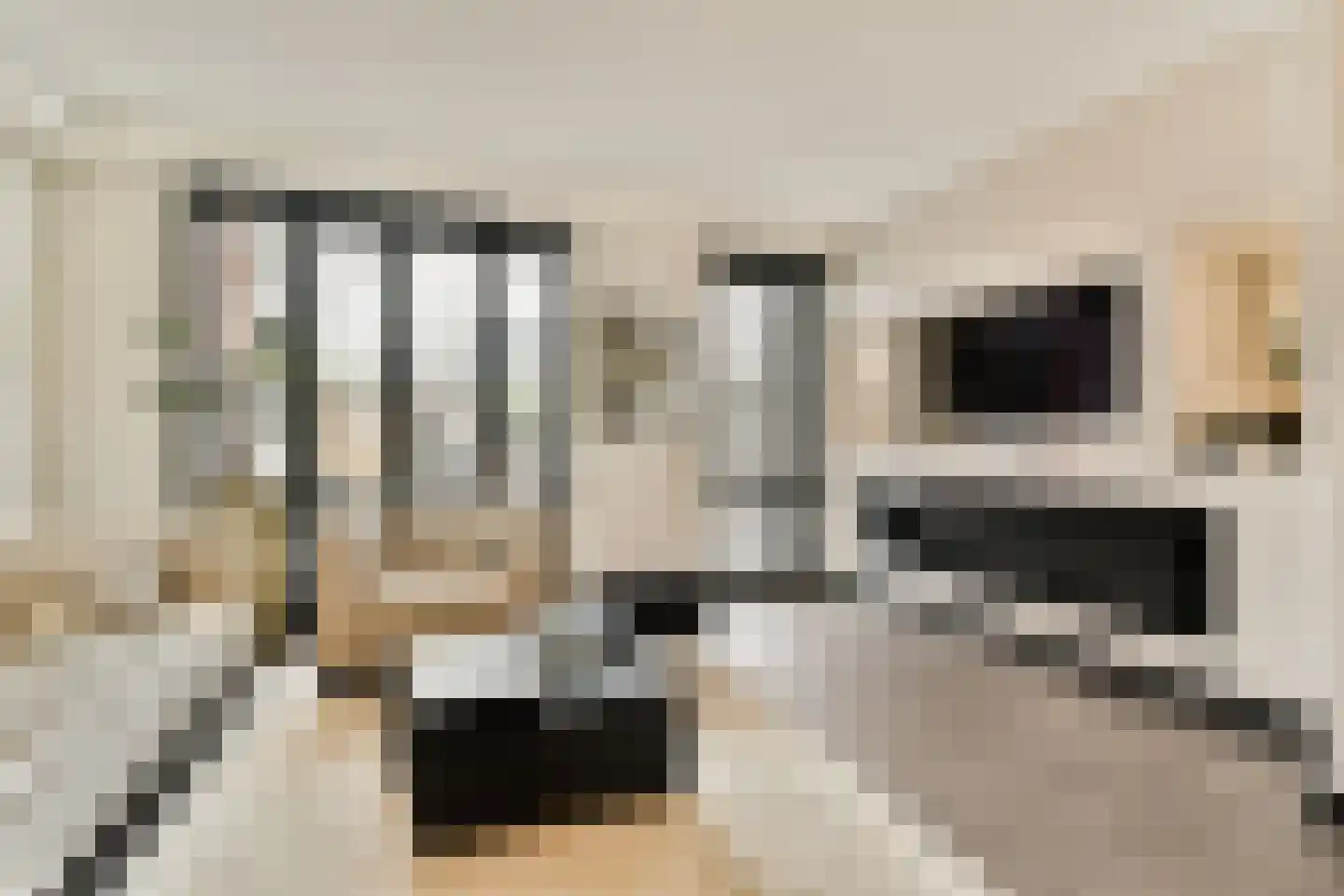 Laan van Avant-Garde 380 Rotterdam thumbnail 7