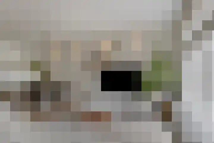Laan van Avant-Garde 384 Rotterdam thumbnail 10