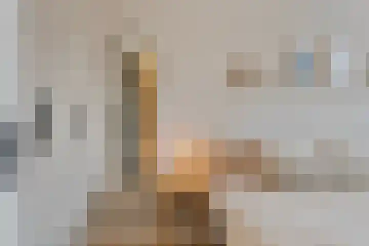 Laan van Avant-Garde 384 Rotterdam thumbnail 19