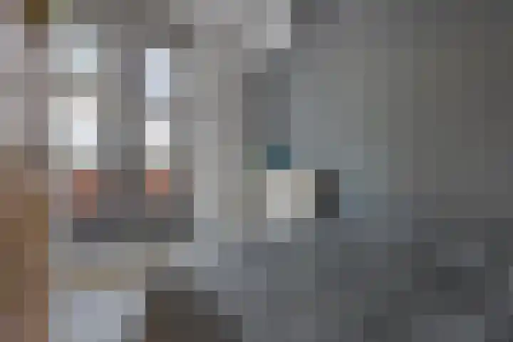 Laan van Avant-Garde 384 Rotterdam thumbnail 21