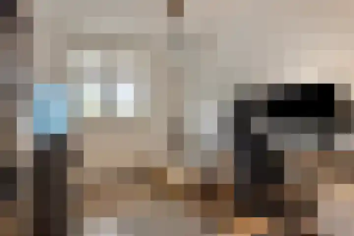 Laan van Avant-Garde 384 Rotterdam thumbnail 25