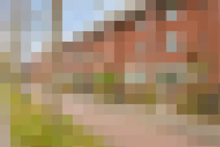 Laan van Avant-Garde 384 Rotterdam thumbnail 27