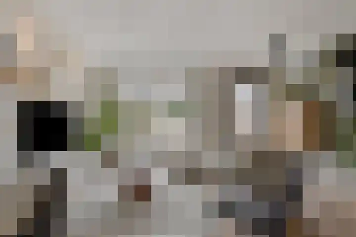 Laan van Avant-Garde 384 Rotterdam thumbnail 8