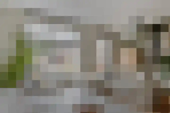 Laan van Avant-Garde 384 Rotterdam thumbnail 9