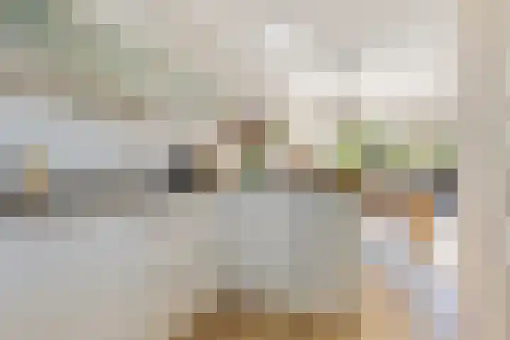 Laan van Avant-Garde 396 Rotterdam thumbnail 11